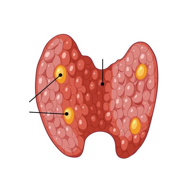 category-image